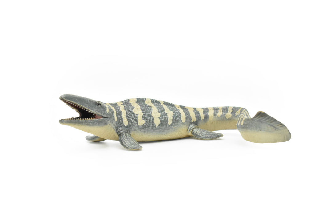 Tylosaurus Dinosaur, Realistic Toy Model Plastic Replica, Kids Educational Gift    6"   M025B634