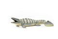 Tylosaurus Dinosaur, Realistic Toy Model Plastic Replica, Kids Educational Gift    6"   M025B634