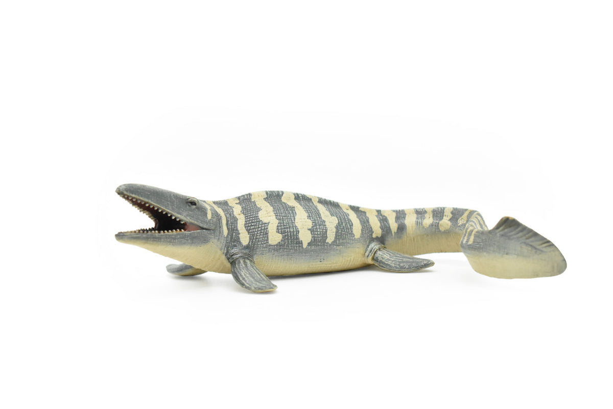 Tylosaurus Dinosaur, Realistic Toy Model Plastic Replica, Kids Educational Gift    6"   M025B634