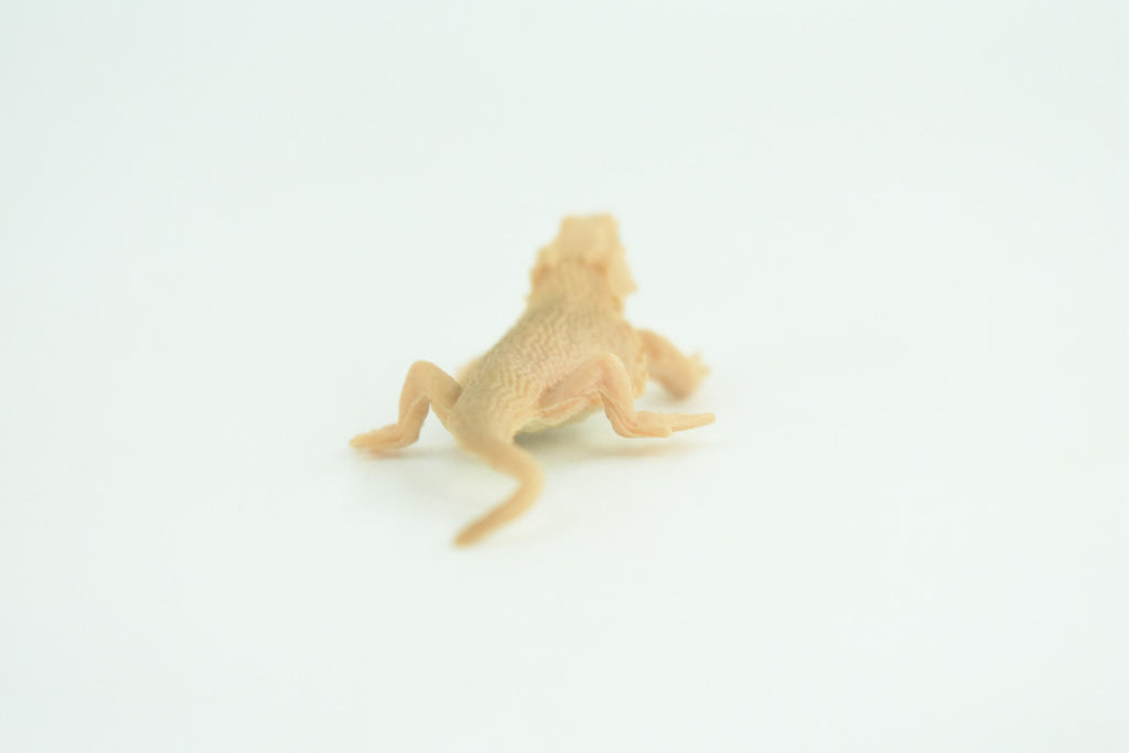 Horned Lizard, Horny Toad, Hand Painted, Educational, Realistic, Rubber, Reptile, Lizard, Diorama, Figure, Toys, Kids, Gift,  2  1/2 Inches. CH930 BB204
