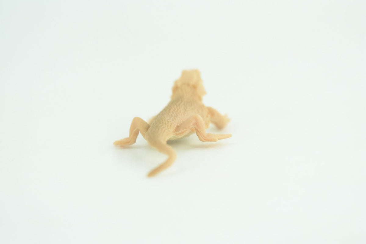 Horned Lizard, Horny Toad, Hand Painted, Educational, Realistic, Rubber, Reptile, Lizard, Diorama, Figure, Toys, Kids, Gift,  2  1/2 Inches. CH930 BB204