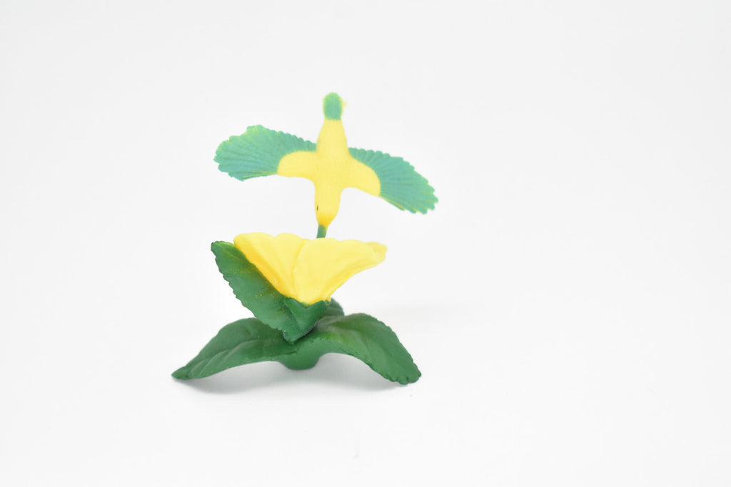 Hummingbird with Hibiscus Flower, Very Nice Plastic Reproduction,  Hand Painted   2"   F3019 B109