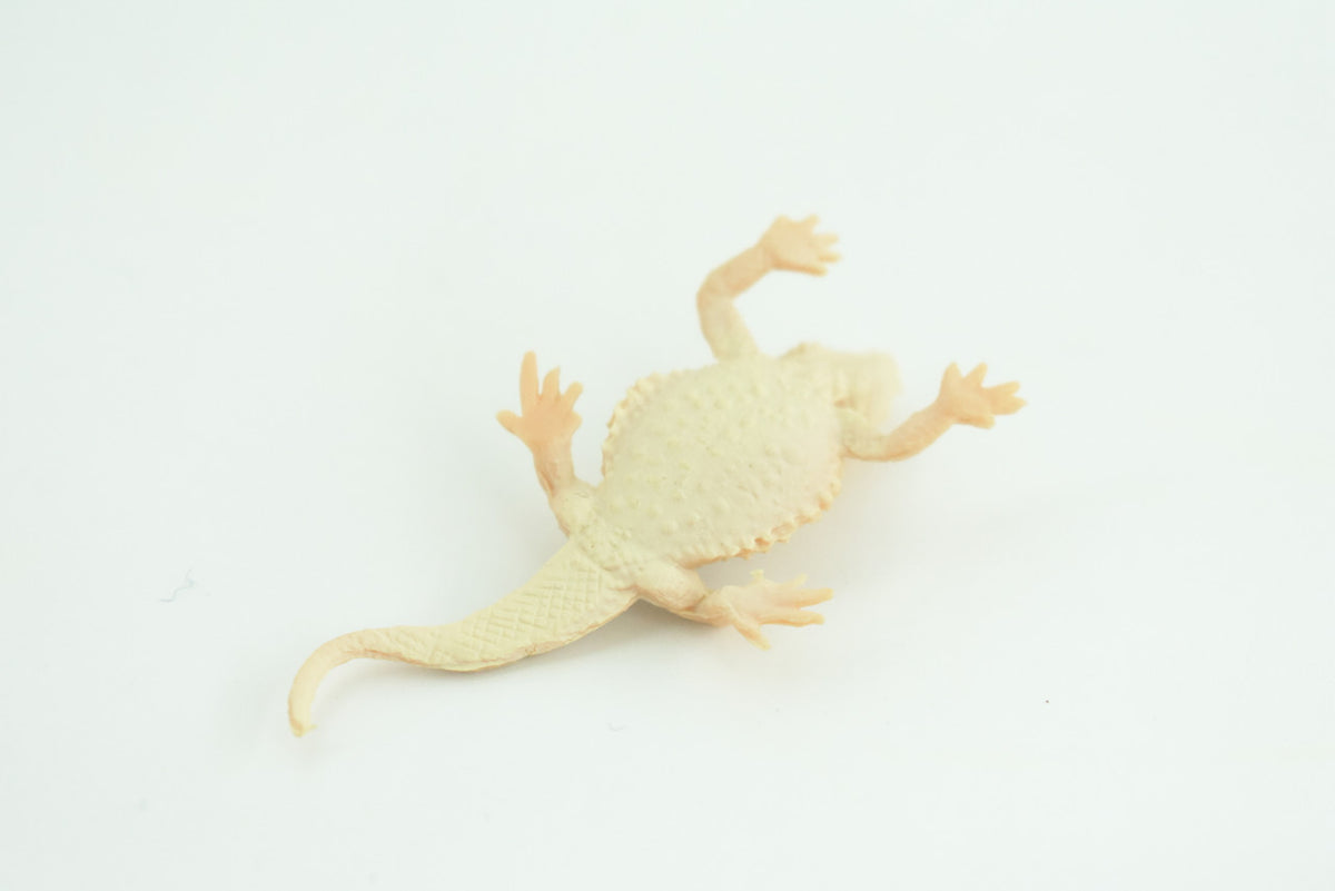 Horned Lizard, Horny Toad, Hand Painted, Educational, Realistic, Rubber, Reptile, Lizard, Diorama, Figure, Toys, Kids, Gift,  2  1/2 Inches. CH930 BB204