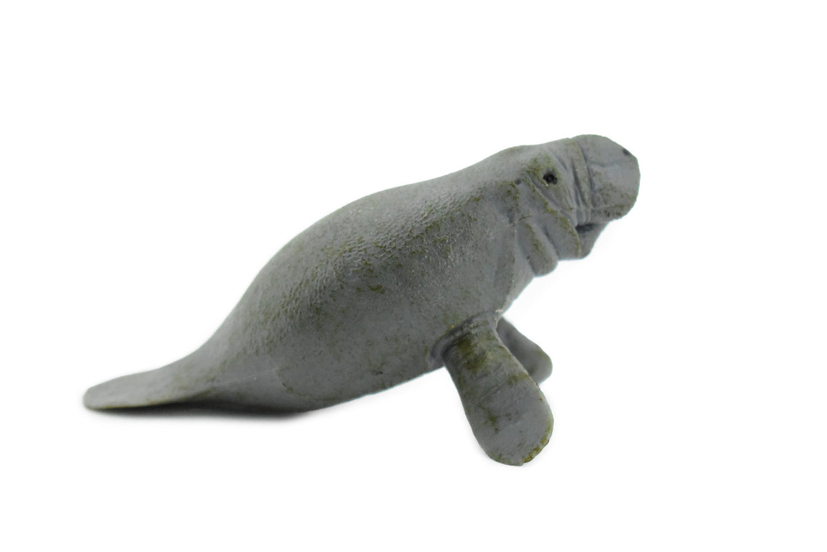 Manatee, Sea Cow, Dugongs, Marine Mammal, Very Nice Design, Hand Painted, Educational, Rubber Diorama Model, Realistic Toy Figure, Kids,  3 1/2 Inches.