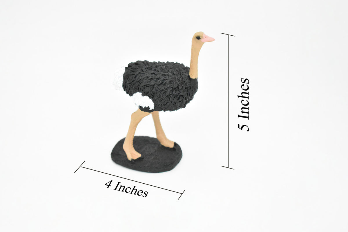 Ostrich, Bird, Museum Quality Rubber Reproduction, Hand Painted Figurines       5"     CH157 B249