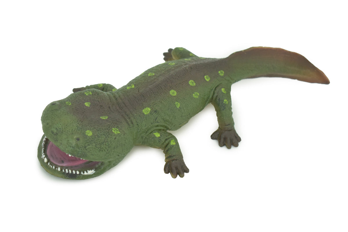 Koolasuchus Cleelandi, Green, Prehistoric Amphibian, Museum Quality, Hand Painted, Realistic, Rubber, Animal, Figure, Model, Toy, Kids, Educational, Gift  8"  CH282 BB178