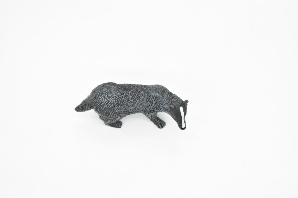 Badger, Mustelidae, Museum Quality, Hand Painted, Rubber Animal, Realistic Toy Figure, Diorama Model, Kids, Educational, Gift,    3 Inches.    CH089 BB84