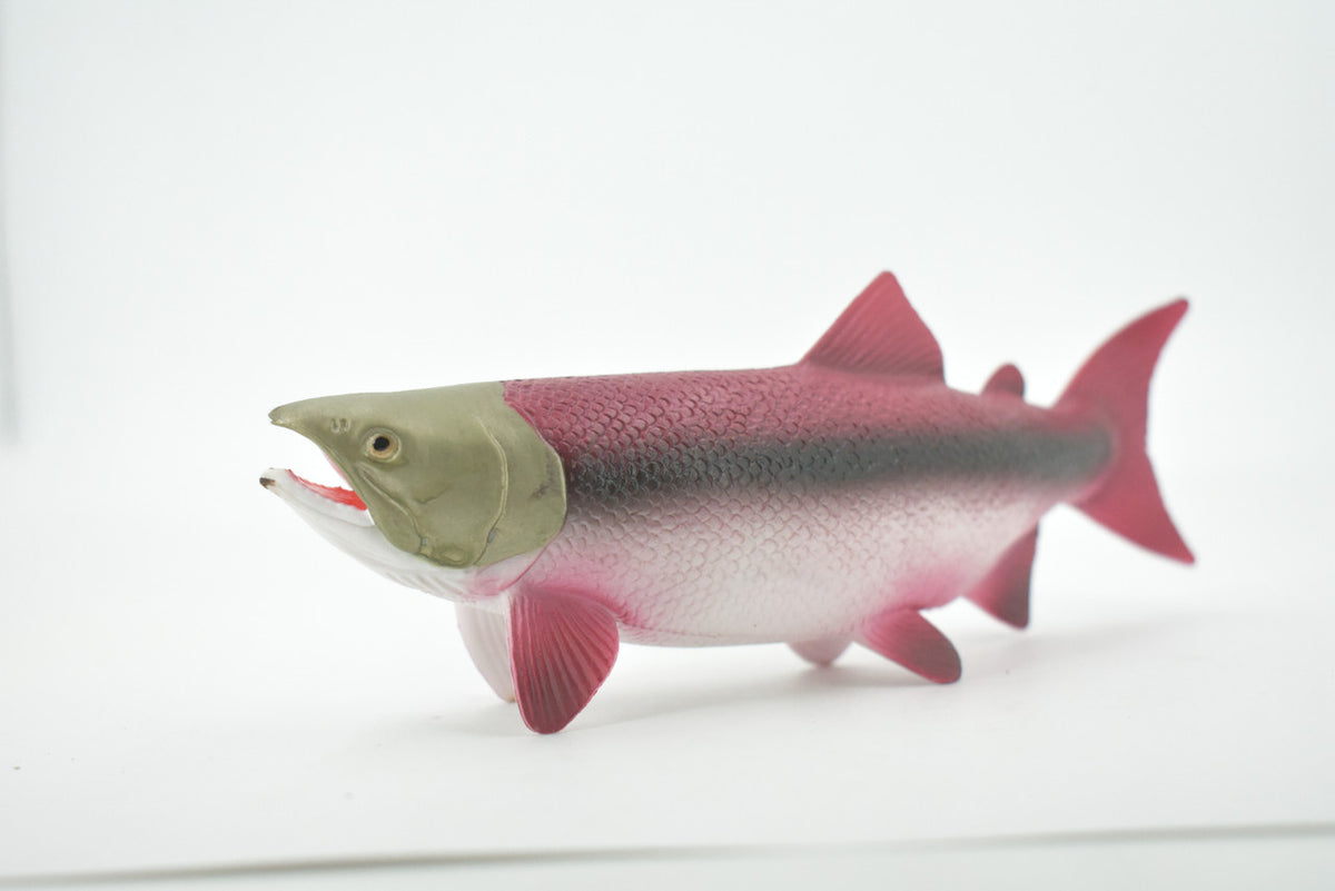 Fish, Coho, Silver Salmon, Spawning, Salmonidae, Museum Quality, Hand Painted, Realistic, Rubber, Figure, Model, Toy, Kids, Educational, Gift,     6 1/2"   CH669 BB170