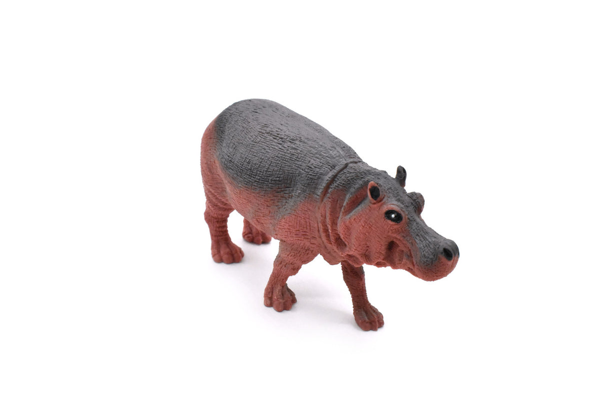HIPPO COMING YOUR WAY!