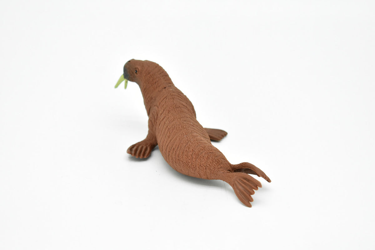 Walrus, Arctic marine mammal, Very Nice Plastic Replica, Hand Painted, Realistic, Saltwater, Educational,  Figure, Lifelike, Diorama Model, Toy, Gift,  5 Inches. 
