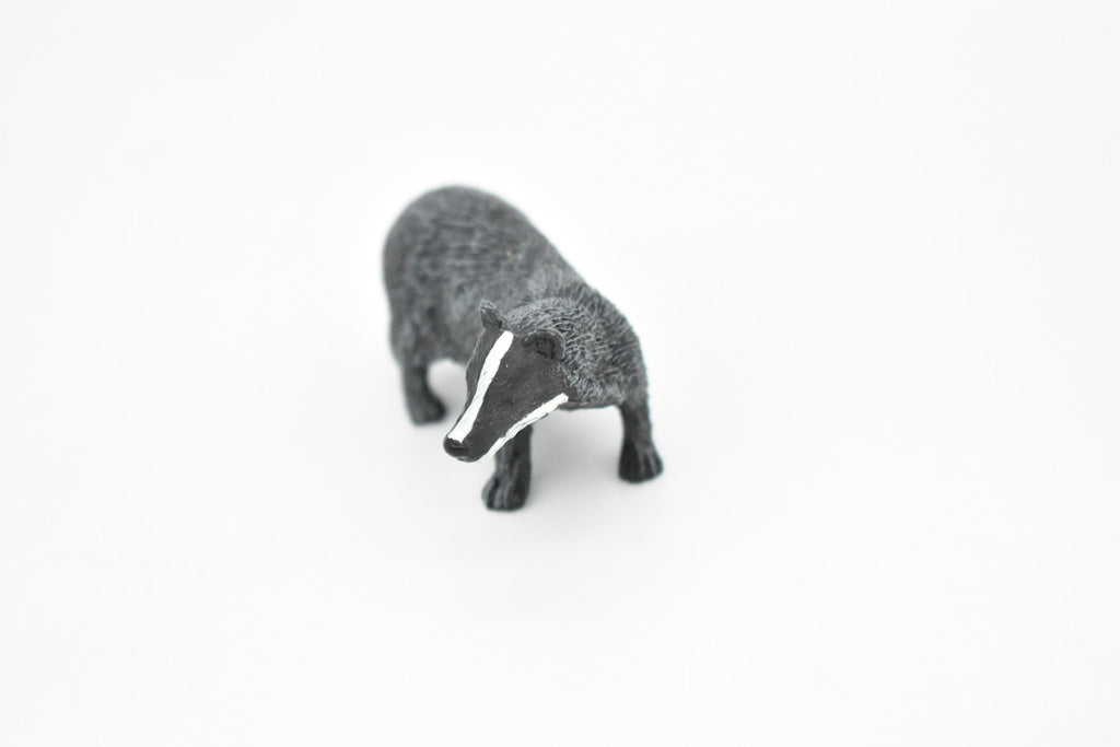 Badger, Mustelidae, Museum Quality, Hand Painted, Rubber Animal, Realistic Toy Figure, Diorama Model, Kids, Educational, Gift,    3 Inches.    CH089 BB84