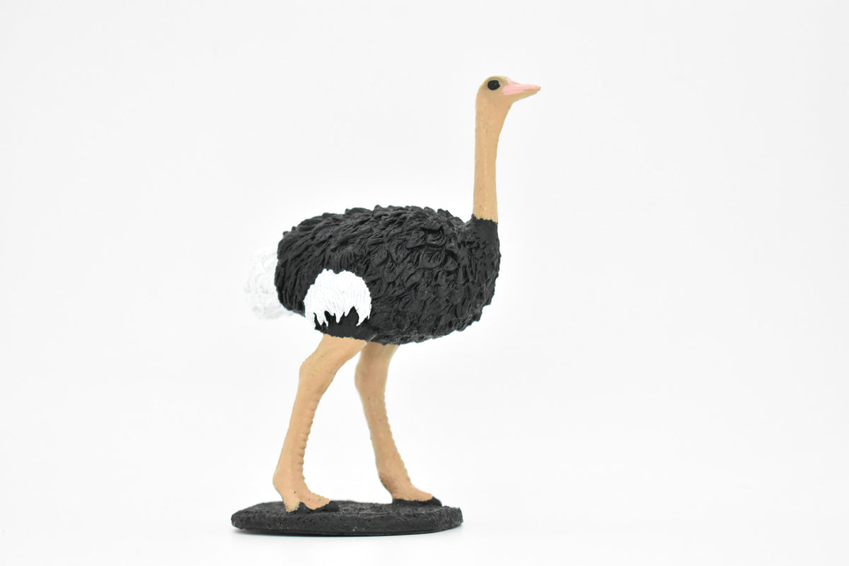 Ostrich, Bird, Museum Quality Rubber Reproduction, Hand Painted Figurines       5"     CH157 B249
