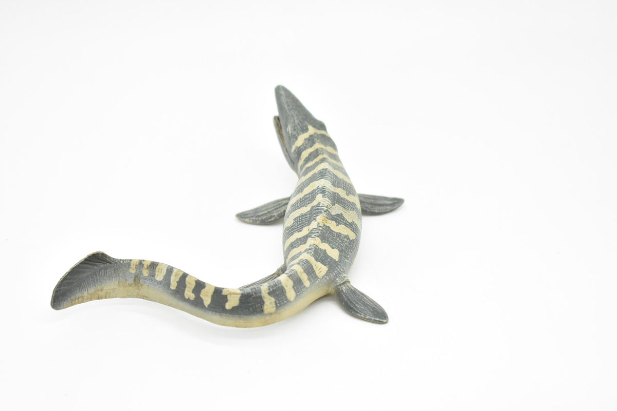 Tylosaurus Dinosaur, Realistic Toy Model Plastic Replica, Kids Educational Gift    6"   M025B634