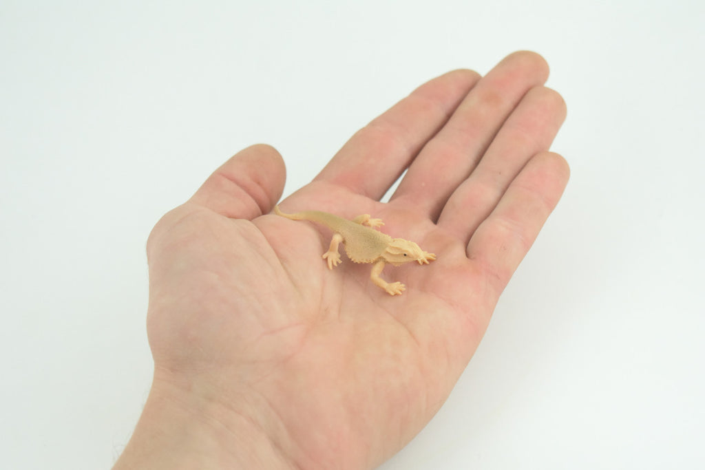 Horned Lizard, Horny Toad, Hand Painted, Educational, Realistic, Rubber, Reptile, Lizard, Diorama, Figure, Toys, Kids, Gift,  2  1/2 Inches. CH930 BB204