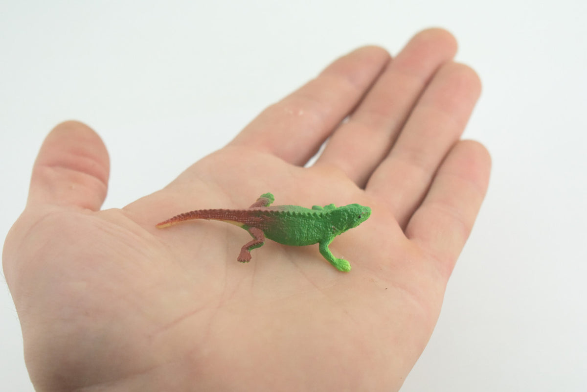 Green Iguana with Brown Tail, Lizard, Rubber Reptile, Hand Painted, Educational, Realistic, Model, Replica, Toys, Kids, Gift, 2 1/2 Inches. WR45 B197