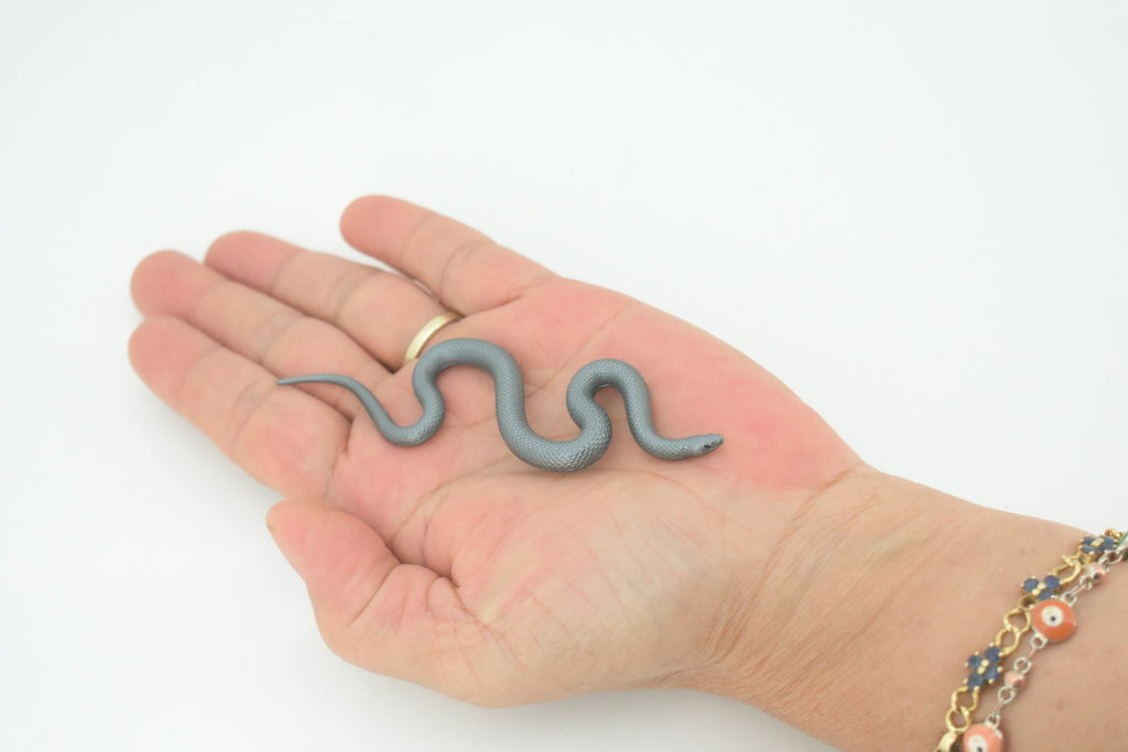 Indigo Snake, Drymarchon couperi, Blue Indigo, Educational, Rubber Reptile, Realistic Figure, Lifelike, Gift,    4"    SF42 B15