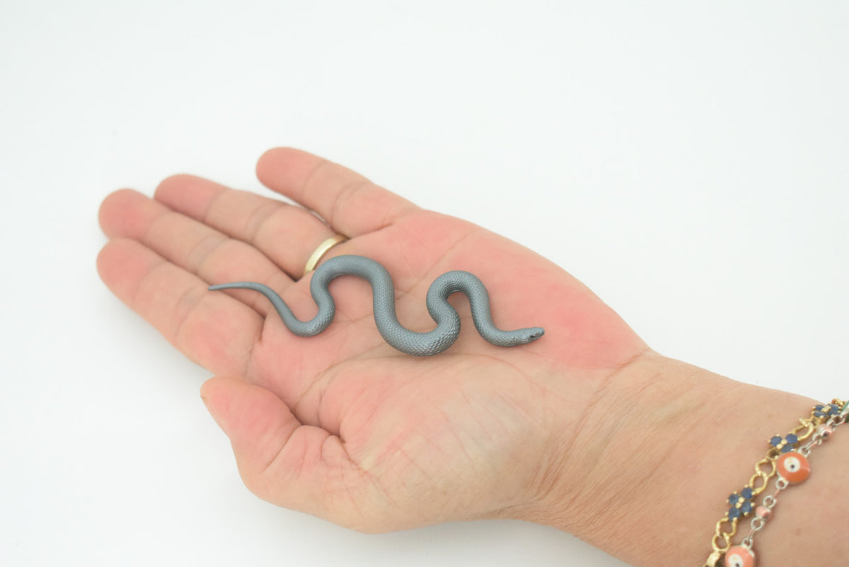 Indigo Snake, Drymarchon couperi, Blue Indigo, Educational, Rubber Reptile, Realistic Figure, Lifelike, Gift,    4"    SF42 B15