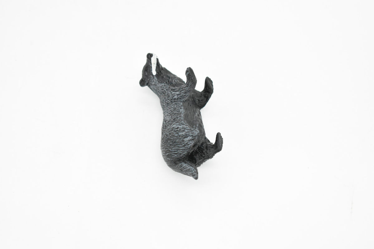 Badger, Mustelidae, Museum Quality, Hand Painted, Rubber Animal, Realistic Toy Figure, Diorama Model, Kids, Educational, Gift,    3 Inches.    CH089 BB84