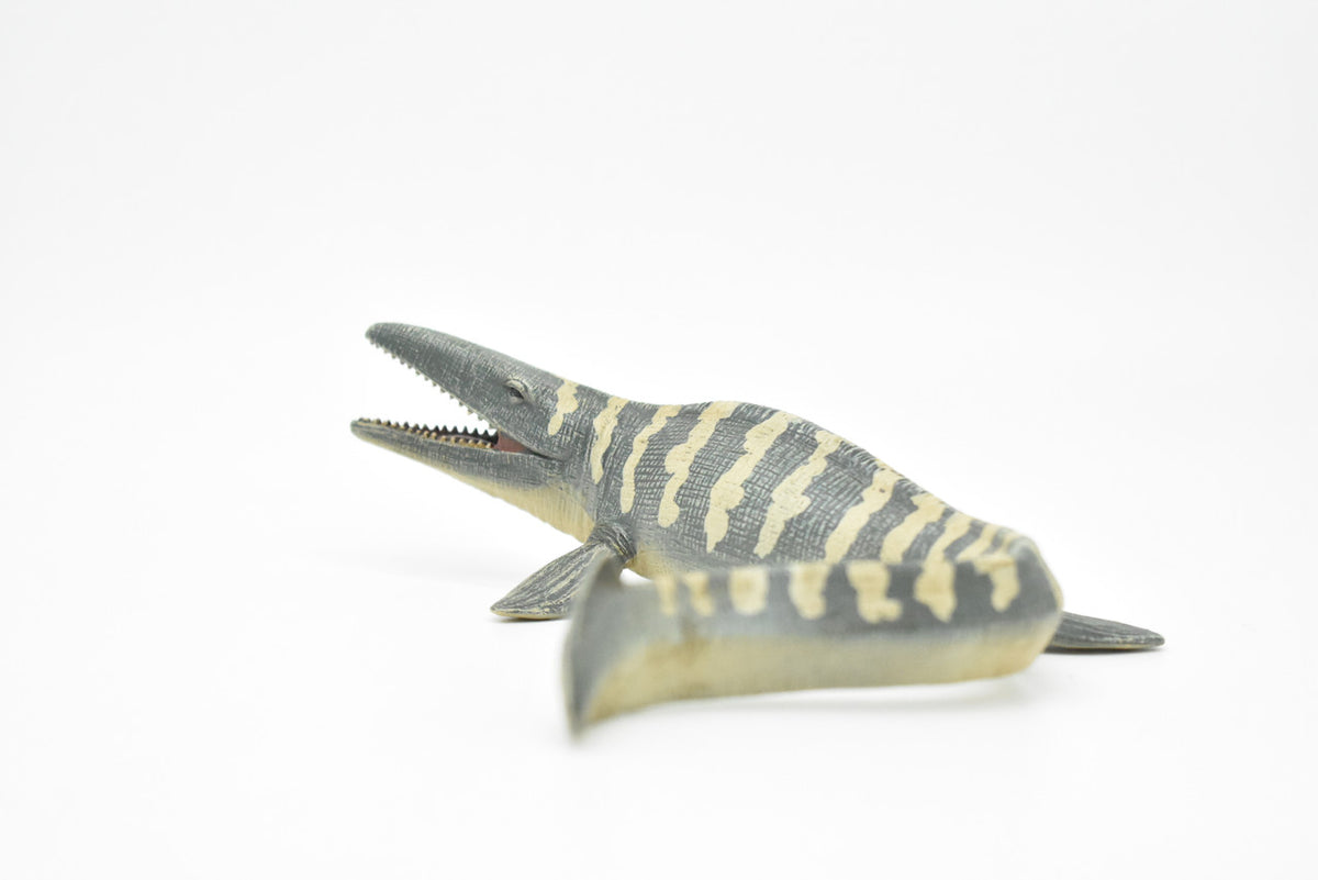Tylosaurus Dinosaur, Realistic Toy Model Plastic Replica, Kids Educational Gift    6"   M025B634