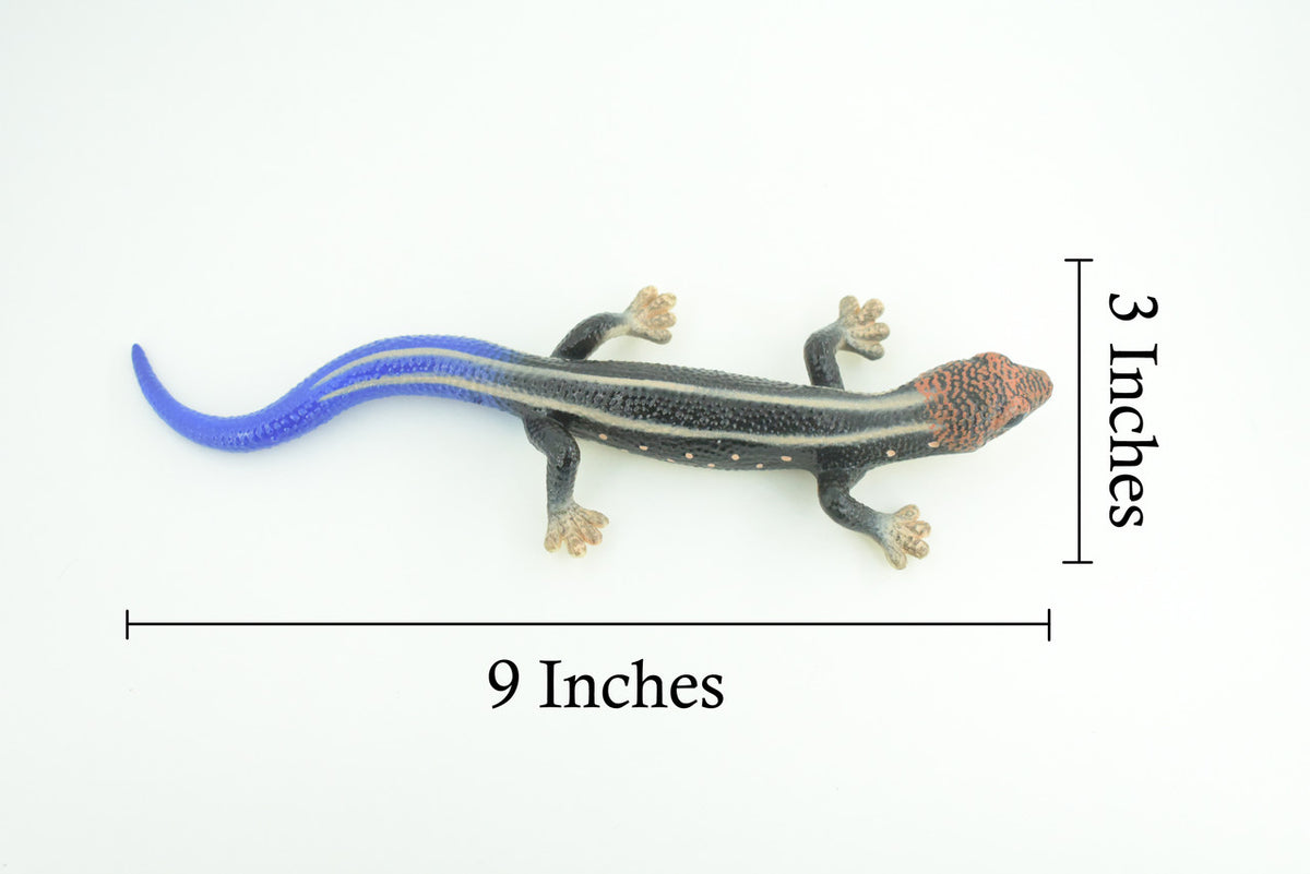 Phelsuma Gecko, Blue-tailed day gecko, Museum Quality, Educational, Hand Painted, Rubber, Realistic Reptile, Diorama, Toy, Kids, Gift, 9 Inches. CH798 BB187