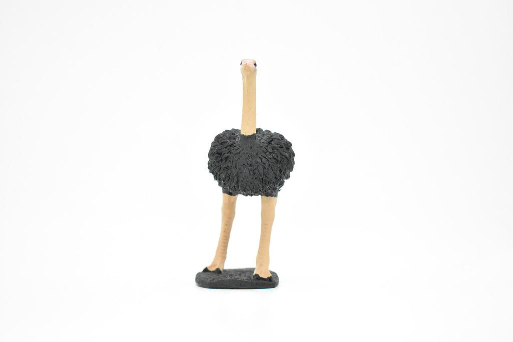 Ostrich, Bird, Museum Quality Rubber Reproduction, Hand Painted Figurines       5"     CH157 B249