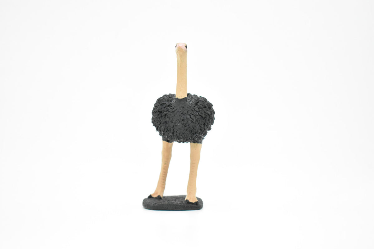 Ostrich, Bird, Museum Quality Rubber Reproduction, Hand Painted Figurines       5"     CH157 B249