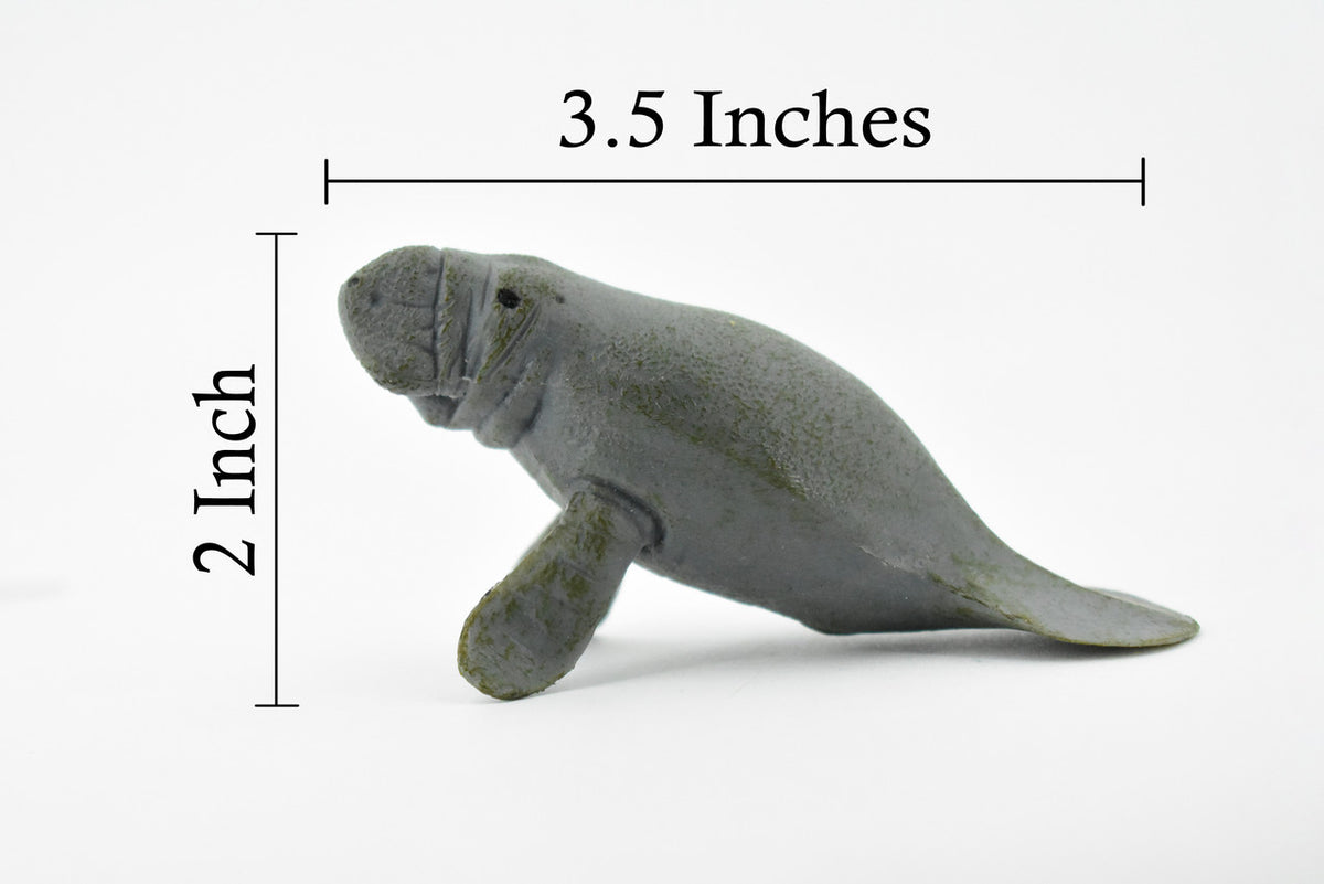 Manatee, Sea Cow, Dugongs, Marine Mammal, Very Nice Design, Hand Painted, Educational, Rubber Diorama Model, Realistic Toy Figure, Kids,  3 1/2 Inches.