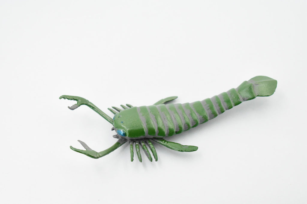 Eurypterida, Sea Scorpions, Extinct Arthropods, Museum Quality, Rubber, Hand Painted, Realistic, Diorama Model, Kids, Educational, Gift,    5 1/2 Inches.    CH431 BB109