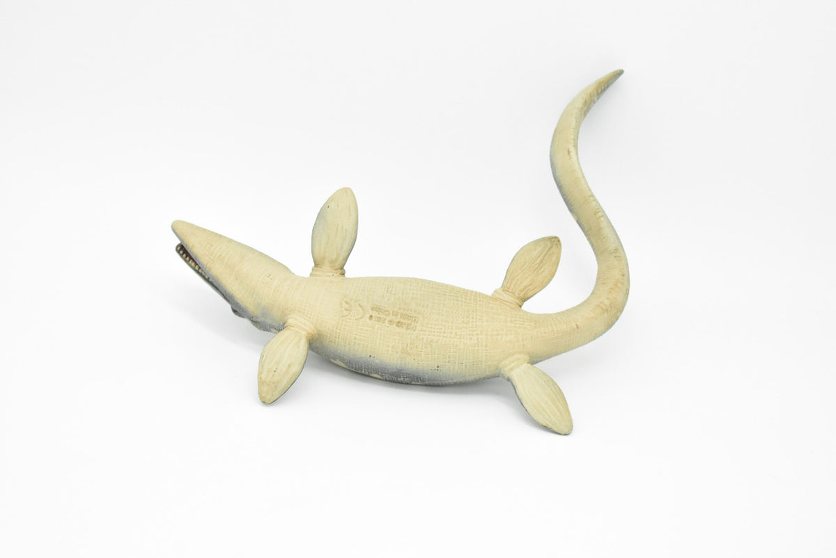 Tylosaurus Dinosaur, Realistic Toy Model Plastic Replica, Kids Educational Gift    6"   M025B634