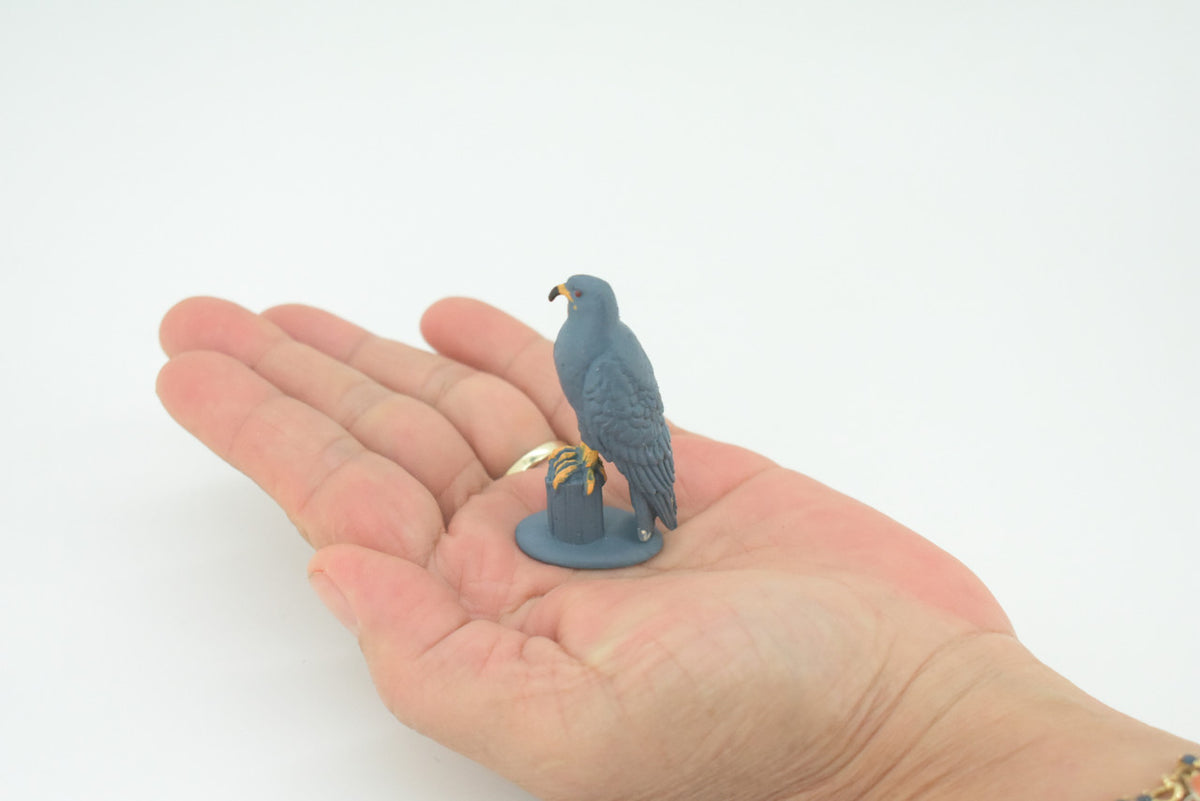 Snail Kite, Rostrhamus sociabilis, Snail-eating Hawk, Hand Painted, Educational, Rubber Bird, Realistic Figure, Lifelike, Gift,   2"    SF43 B15
