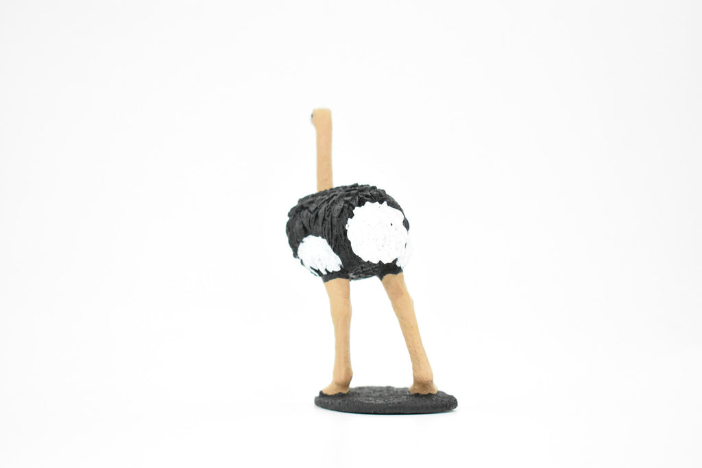 Ostrich, Bird, Museum Quality Rubber Reproduction, Hand Painted Figurines       5"     CH157 B249