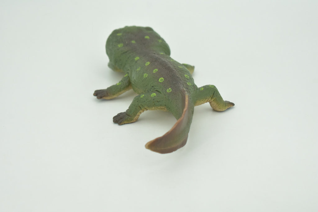 Koolasuchus Cleelandi, Green, Prehistoric Amphibian, Museum Quality, Hand Painted, Realistic, Rubber, Animal, Figure, Model, Toy, Kids, Educational, Gift  8"  CH282 BB178