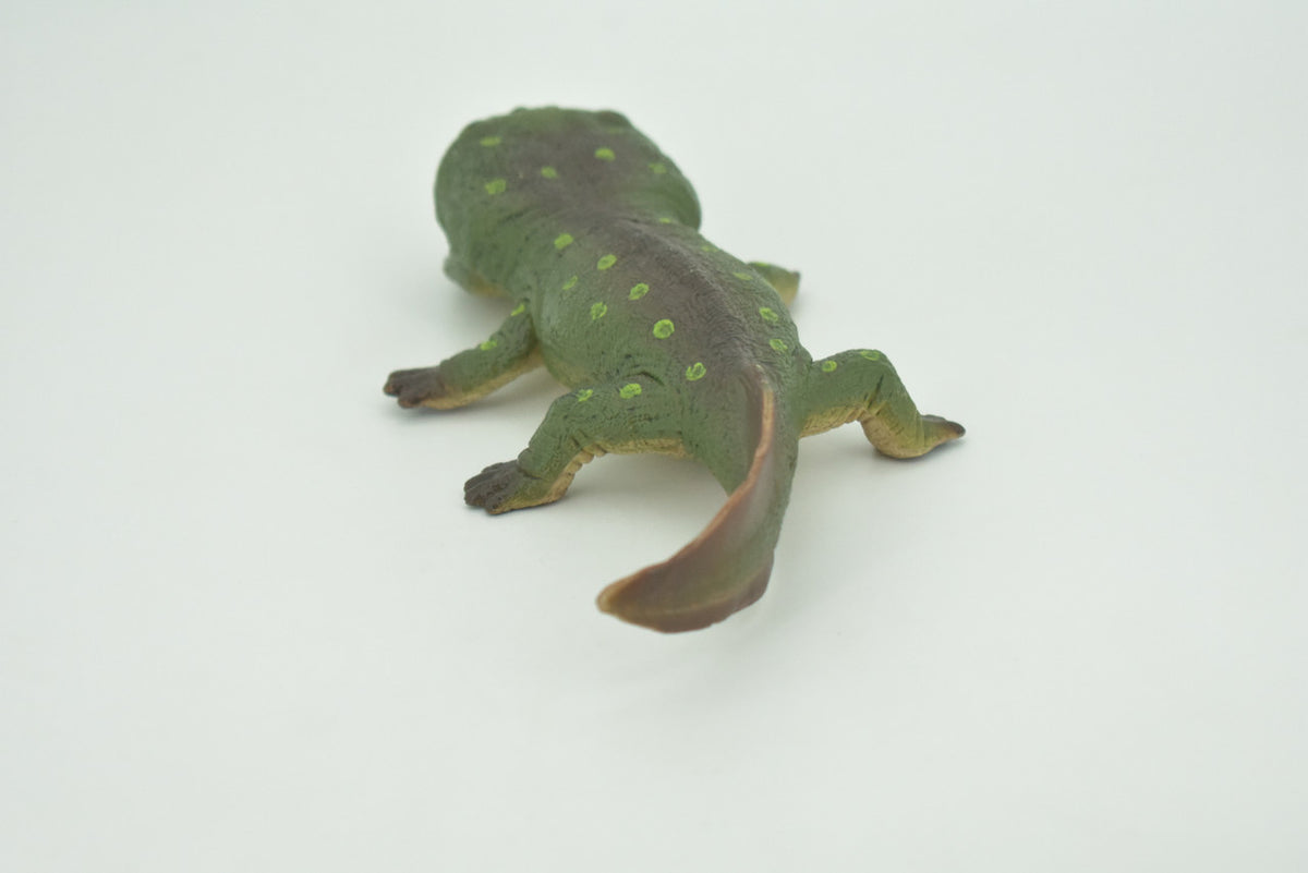 Koolasuchus Cleelandi, Green, Prehistoric Amphibian, Museum Quality, Hand Painted, Realistic, Rubber, Animal, Figure, Model, Toy, Kids, Educational, Gift  8"  CH282 BB178