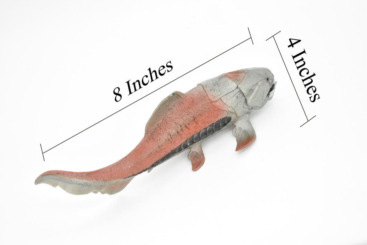 Dunkleosteus, Prehistoric Fish, Dinosaur, Museum Quality, Rubber Fish, Hand Painted, Realistic Toy Figure, Diorama Model, Kids, Educational,  8 Inches.