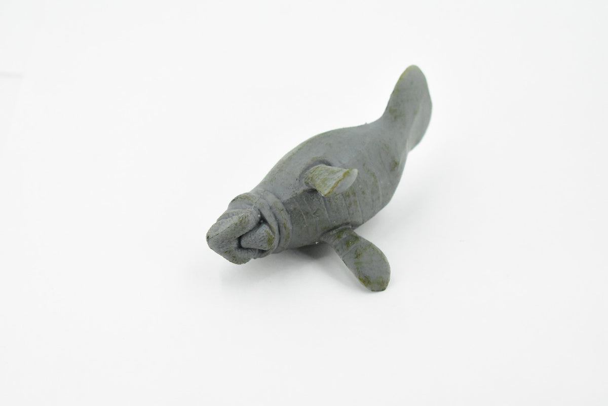 Manatee, Sea Cow, Dugongs, Marine Mammal, Very Nice Design, Hand Painted, Educational, Rubber Diorama Model, Realistic Toy Figure, Kids,  3 1/2 Inches.