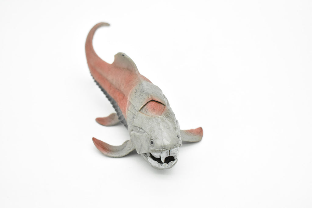 Dunkleosteus, Prehistoric Fish, Dinosaur, Museum Quality, Rubber Fish, Hand Painted, Realistic Toy Figure, Diorama Model, Kids, Educational,  8 Inches.