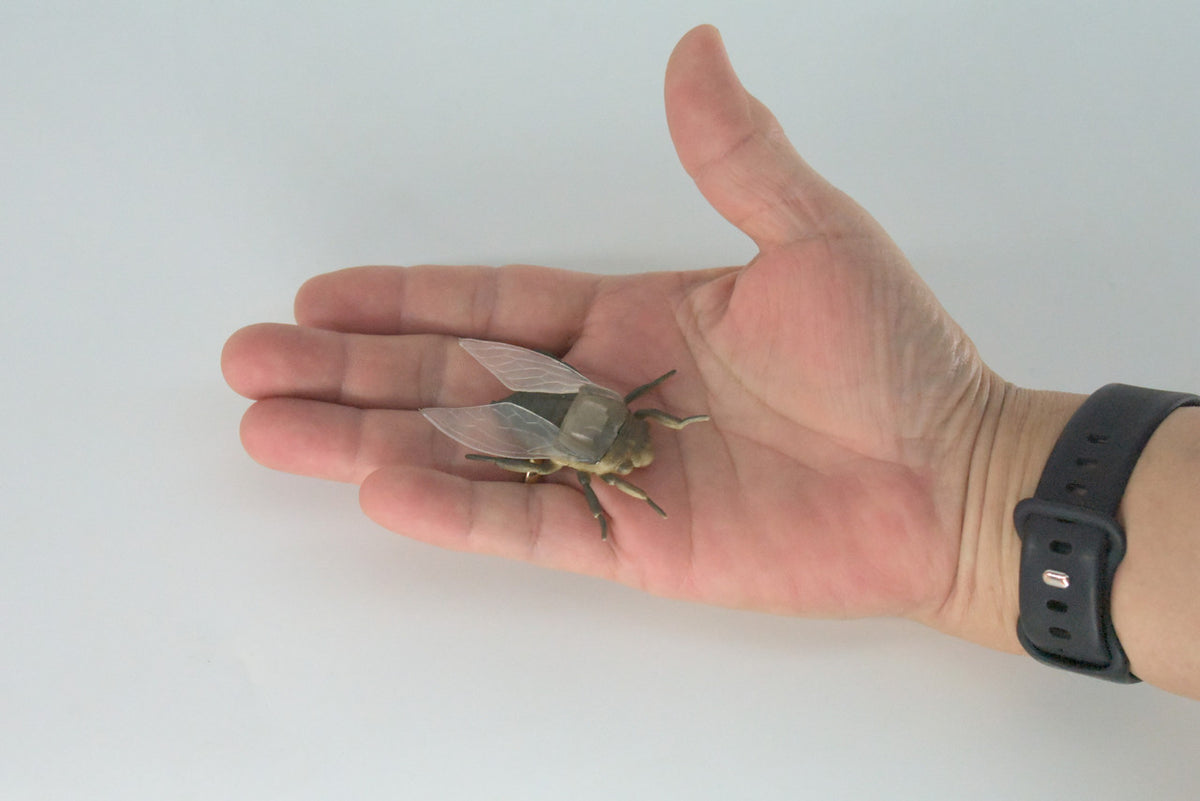 Fly, Houseflies, Very Nice Rubber Insect, Educational, Realistic Hand Painted, Figure, Lifelike Model, Figurine, Replica, Gift,     2"   US22 B44