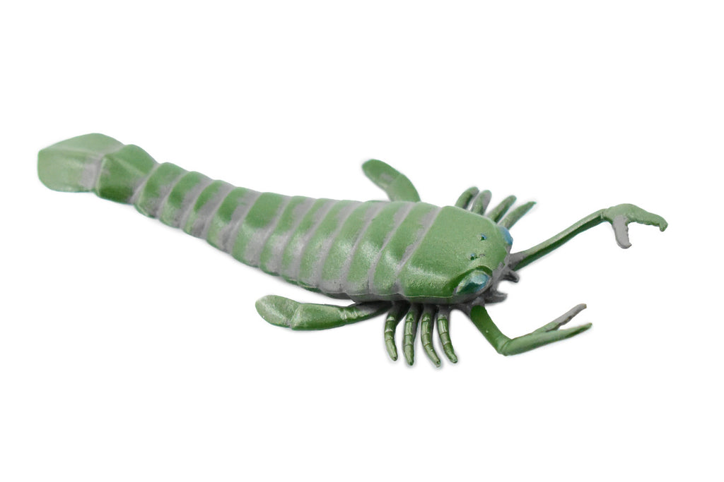 Eurypterida, Sea Scorpions, Extinct Arthropods, Museum Quality, Rubber, Hand Painted, Realistic Toy Figure, Diorama Model, Kids, Educational,  5 1/2 Inches.