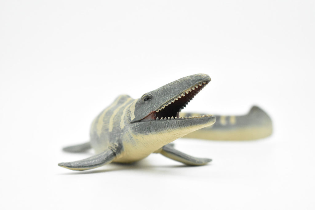 Tylosaurus Dinosaur, Realistic Toy Model Plastic Replica, Kids Educational Gift    6"   M025B634