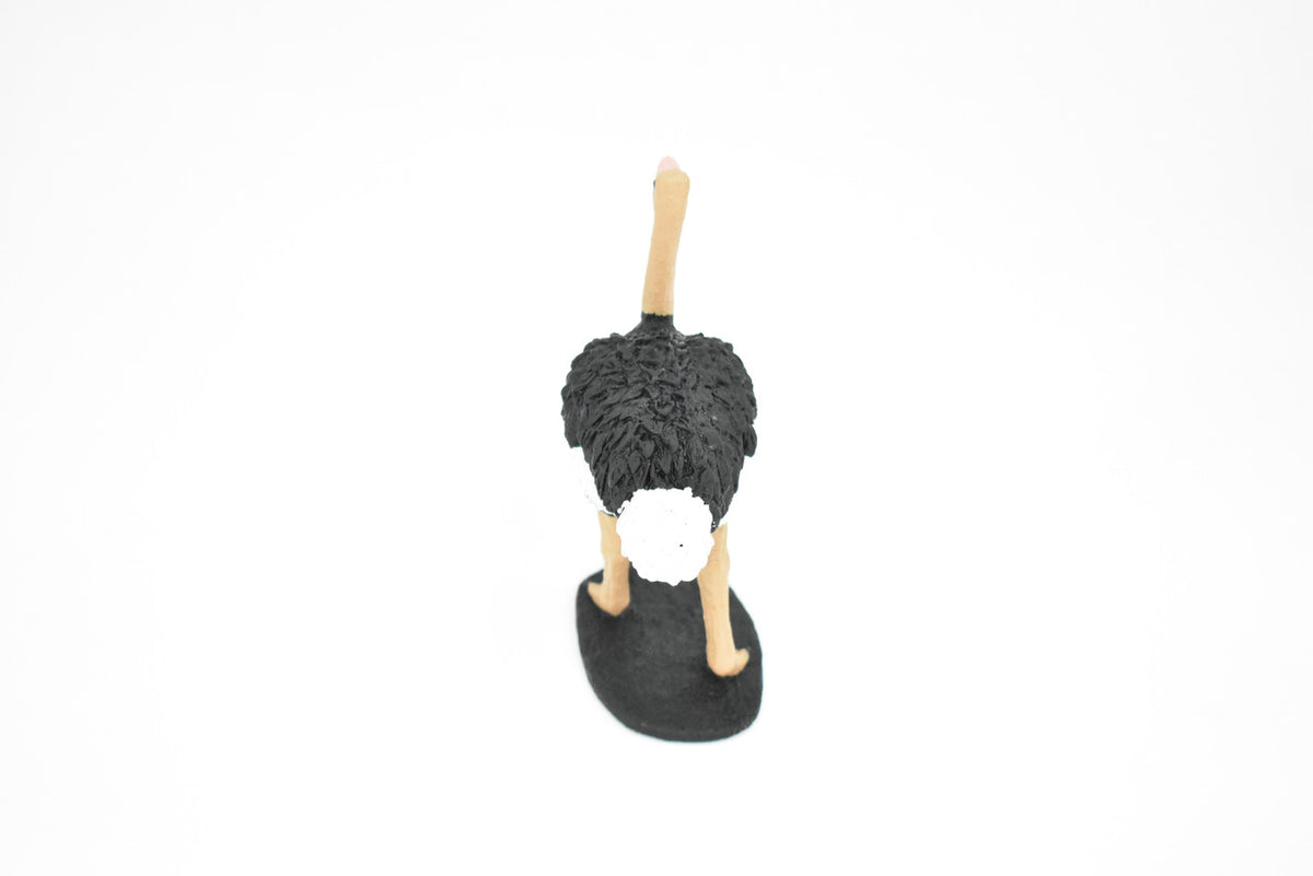 Ostrich, Bird, Museum Quality Rubber Reproduction, Hand Painted Figurines       5"     CH157 B249