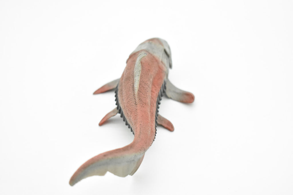 Dunkleosteus, Prehistoric Fish, Dinosaur, Museum Quality, Rubber Fish, Hand Painted, Realistic Toy Figure, Diorama Model, Kids, Educational,  8 Inches.