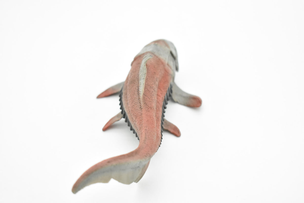Dunkleosteus, Prehistoric Fish, Dinosaur, Museum Quality, Rubber Fish, Hand Painted, Realistic Toy Figure, Diorama Model, Kids, Educational,  8 Inches.