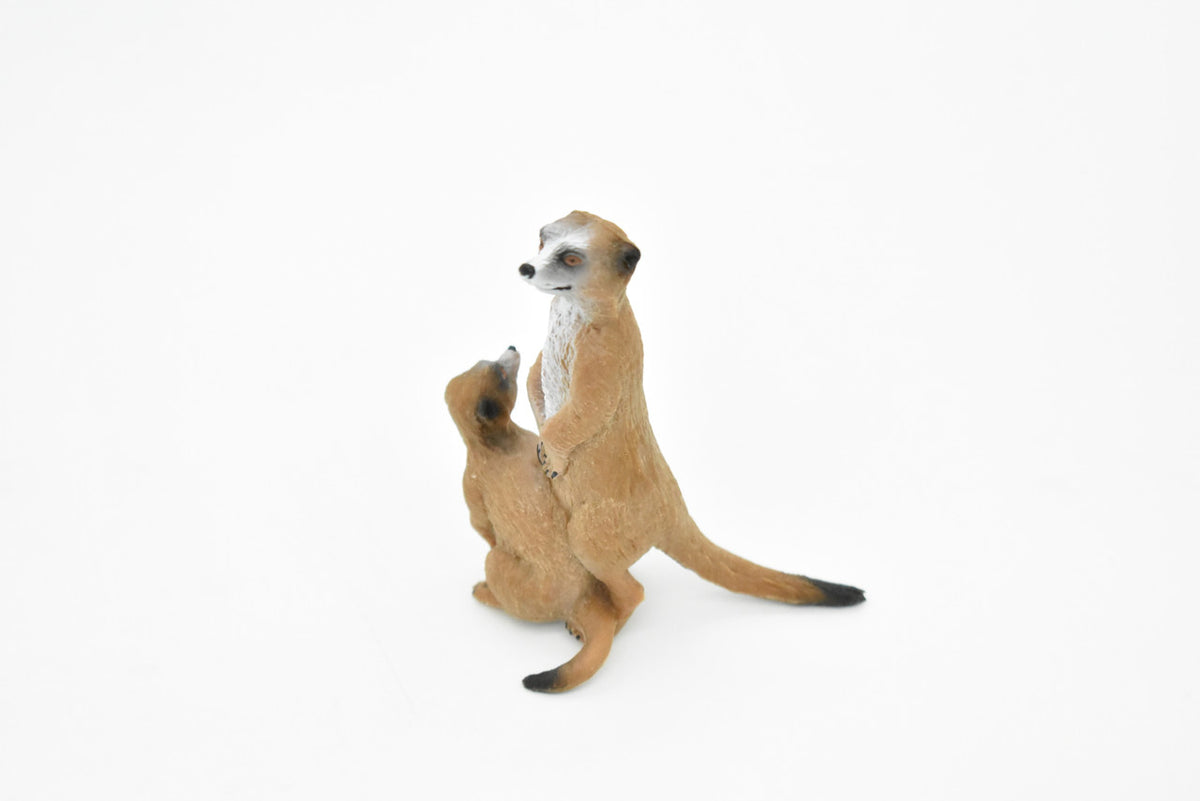 Meerkats, Mom and Baby, Mongoose, Museum Quality, Hand Painted, Educational, Rubber Animal, Realistic Toy Figure, Diorama Model, Kids,  3 Inches. 