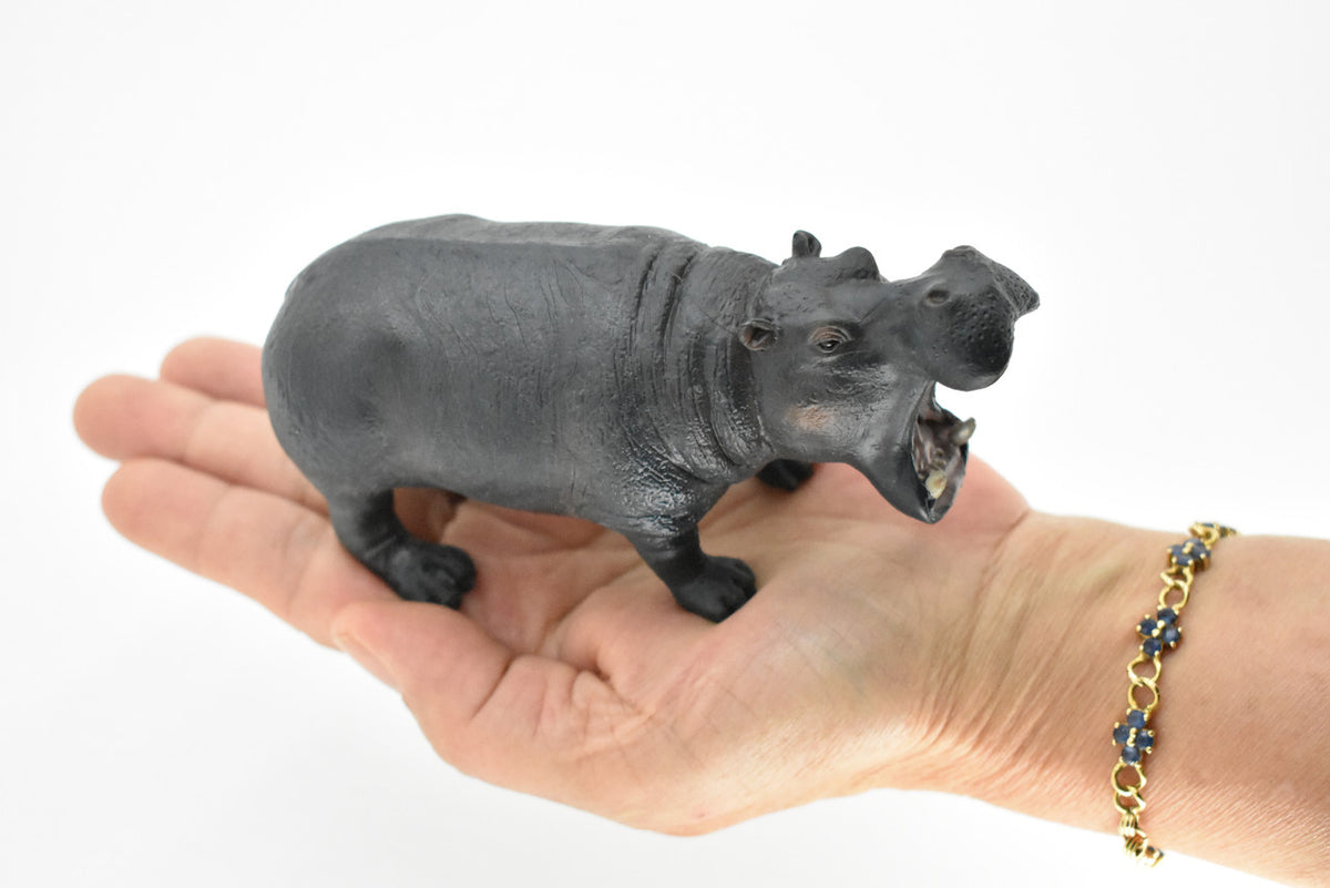 Hippo, Hippopotamus, Museum Quality, Hand Painted, Educational, Rubber Animal, Realistic Toy Figure, Diorama Model, Kids,  5 Inches. 