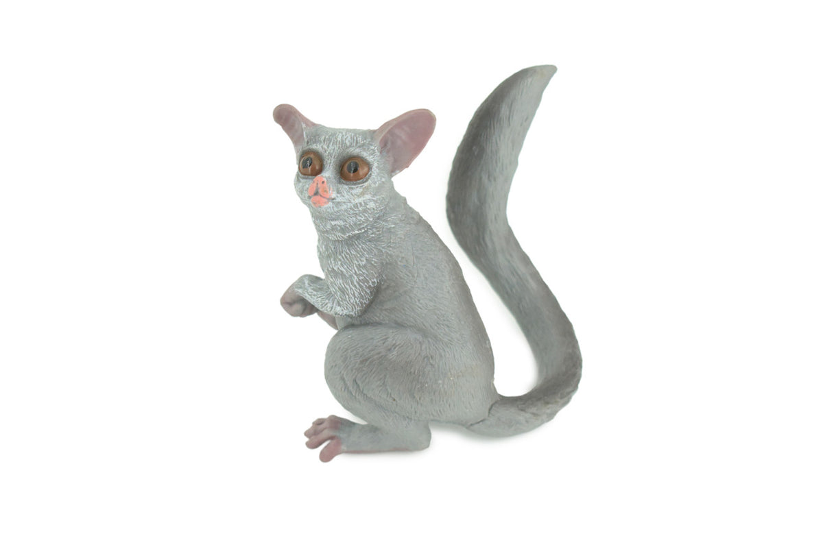 Night Monkey, Owl Monkey, Hand Painted, Museum Quality, Educational, Rubber Animal, Very Realistic Primate, Diorama, Toy, Kids, Gift, 4 Inches. CH847 BB197