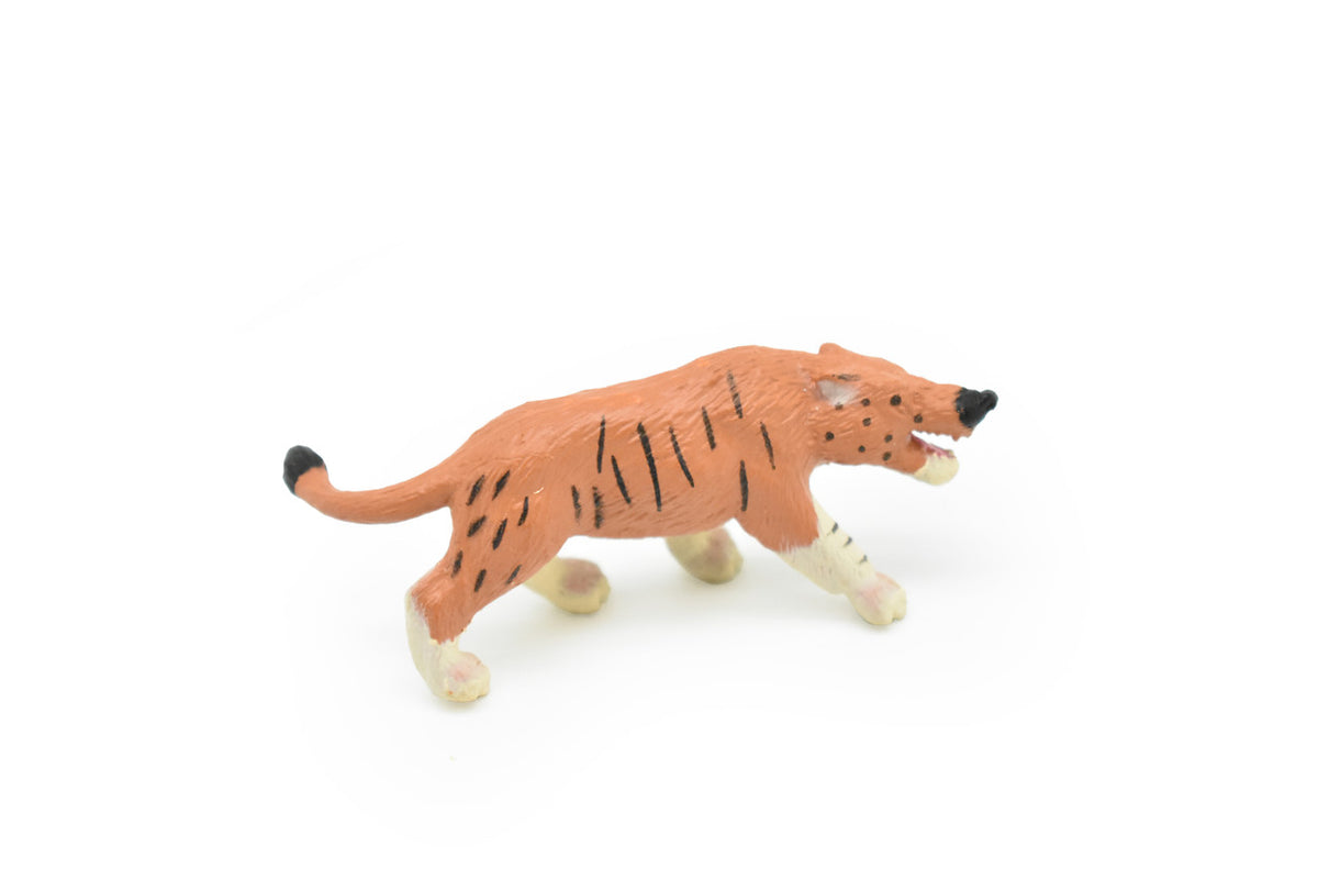 Andrewsarchus, Ancient Mammal, Educational, Realistic, Diorama Figure, Lifelike Rubber Model, Gift,   2 1/2 Inches.
