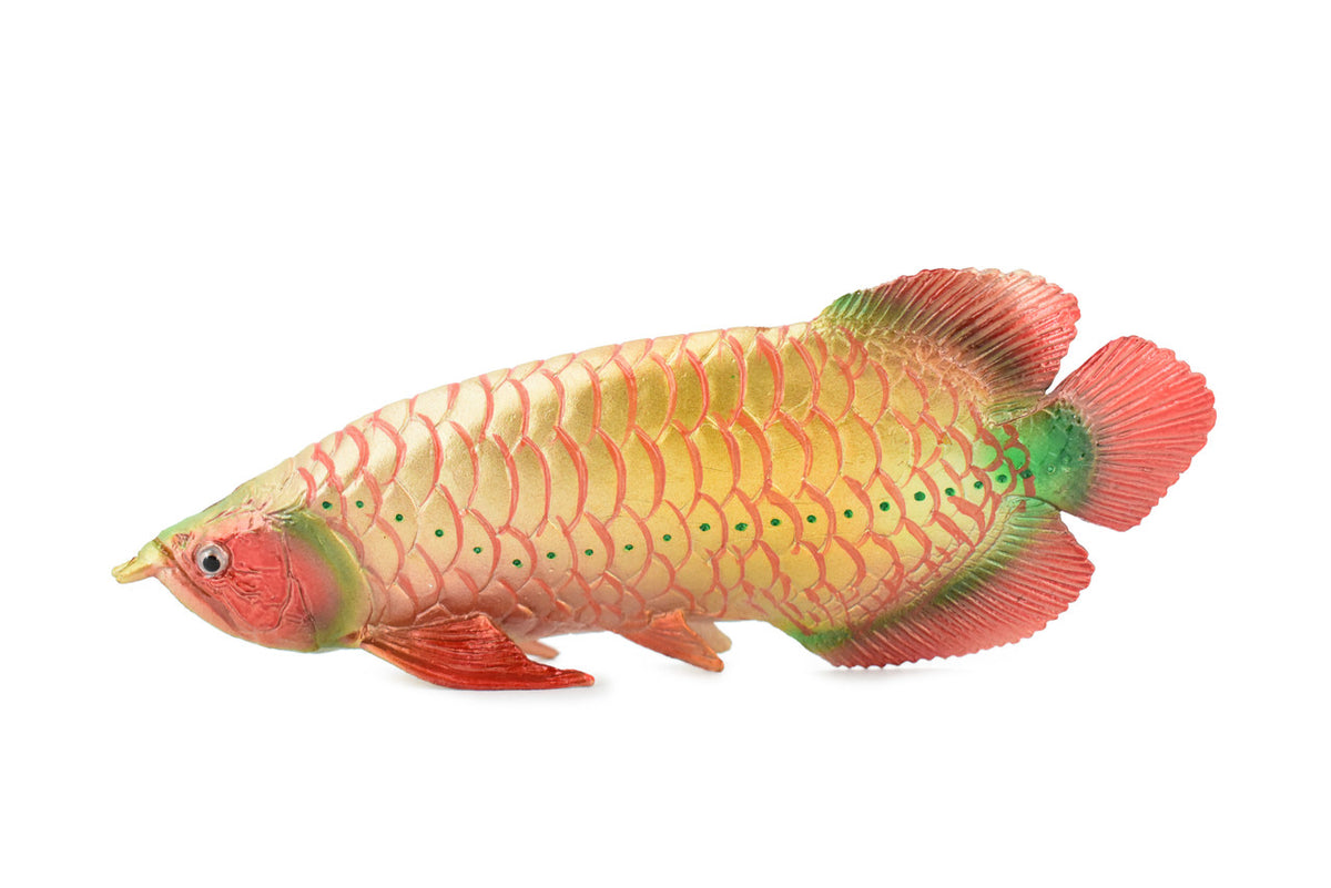 Arowana, Red Dragon Fish, Asian Arowana, Rubber Fish, Hand Painted, Realistic Toy Figure, Model, Replica, Kids, Educational, Gift,    6 1/2"    CH301 BB129
