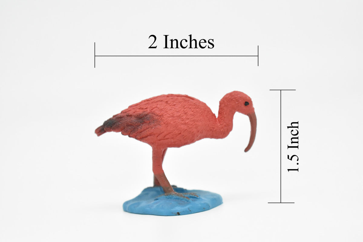Ibis, Scarlet, Very Nice Plastic Reproduction    2"     F3012 B109