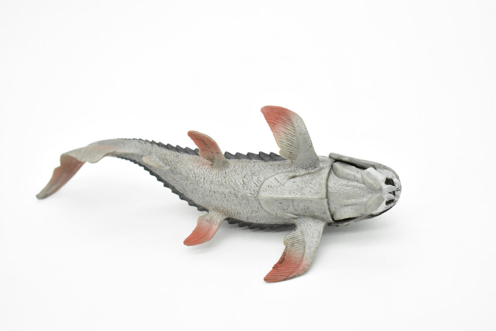 Dunkleosteus, Prehistoric Fish, Dinosaur, Museum Quality, Rubber Fish, Hand Painted, Realistic Toy Figure, Diorama Model, Kids, Educational,  8 Inches.