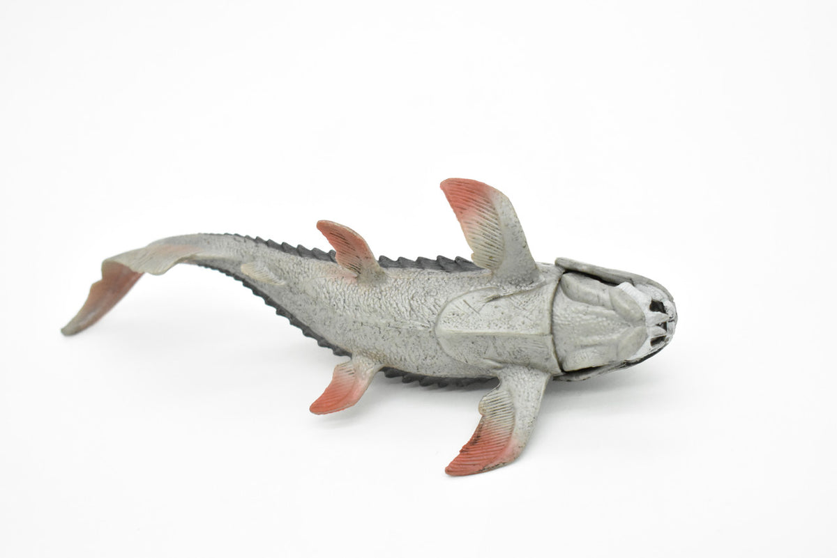 Dunkleosteus, Prehistoric Fish, Dinosaur, Museum Quality, Rubber Fish, Hand Painted, Realistic Toy Figure, Diorama Model, Kids, Educational,  8 Inches.